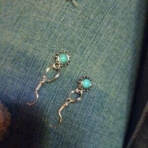 Tortoise Ear rings